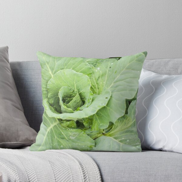 Artikelvorschau, einheimischer Weißkohl im Garten entworfen und verkauft von alexvioletart.