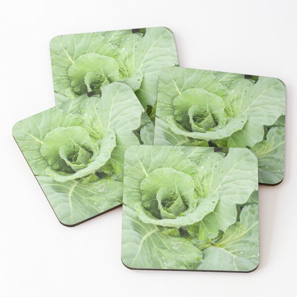 Item preview, homegrown white cabbage in garden designed and sold by alexvioletart.
