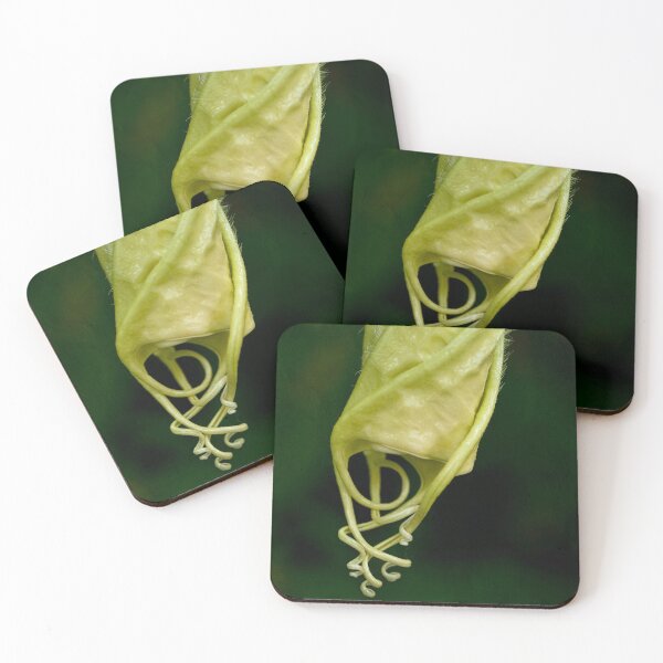 Item preview, Birth of an angel's trumpet designed and sold by Art in Nature.