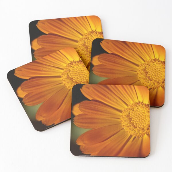 Item preview, Half the sun designed and sold by Art in Nature.