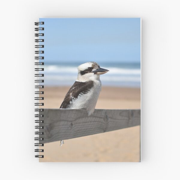 Item preview, Kookaburra Sitting on Wooden Handrail at North Avoca Beach NSW Central Coast of Australia designed and sold by suziq1962.