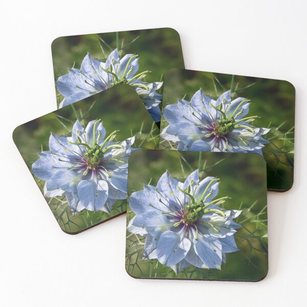 Item preview, Nigella in January designed and sold by Art in Nature.