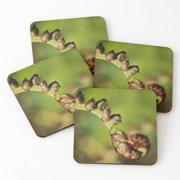 Item preview, Birth of a frond designed and sold by Art in Nature.