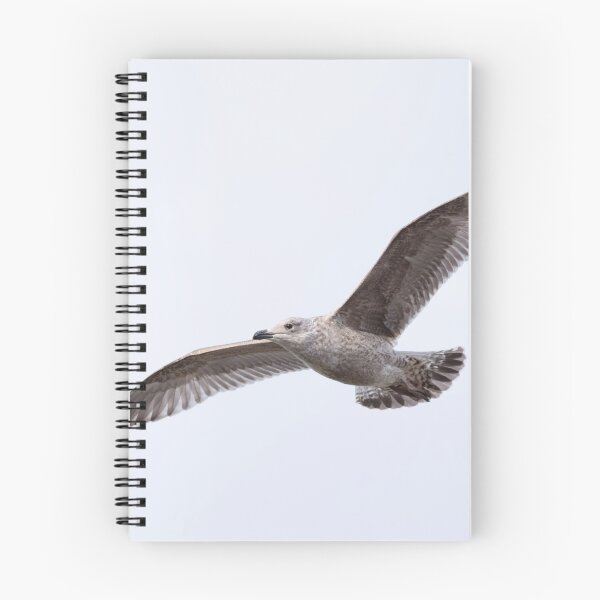 Item preview, Gull wings designed and sold by Tadas  Svetikas.