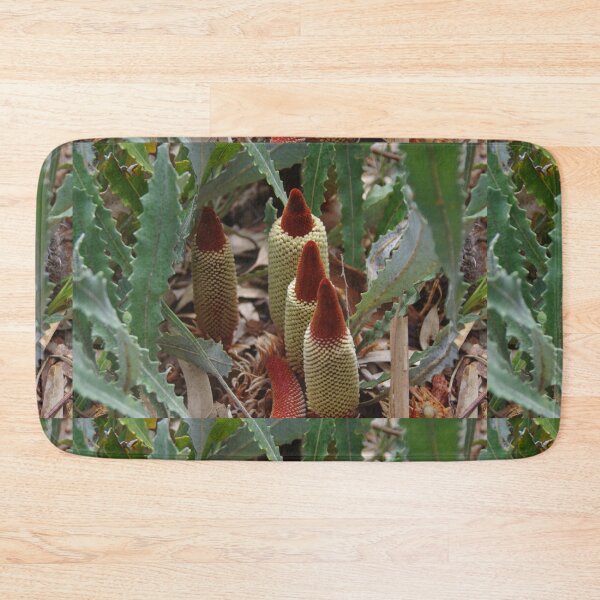 Item preview, Red Tipped Banksias (Banksia petiolaris) designed and sold by lezvee.