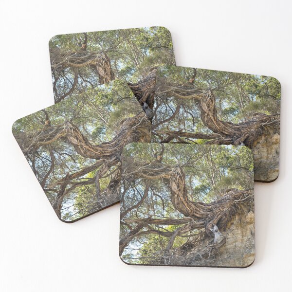 Item preview, Kitty Cat in the Spirit Tree  designed and sold by Rainphotography.