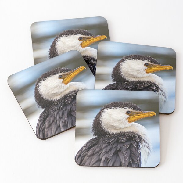 Item preview, Little pied cormorant 1 designed and sold by Rainphotography.
