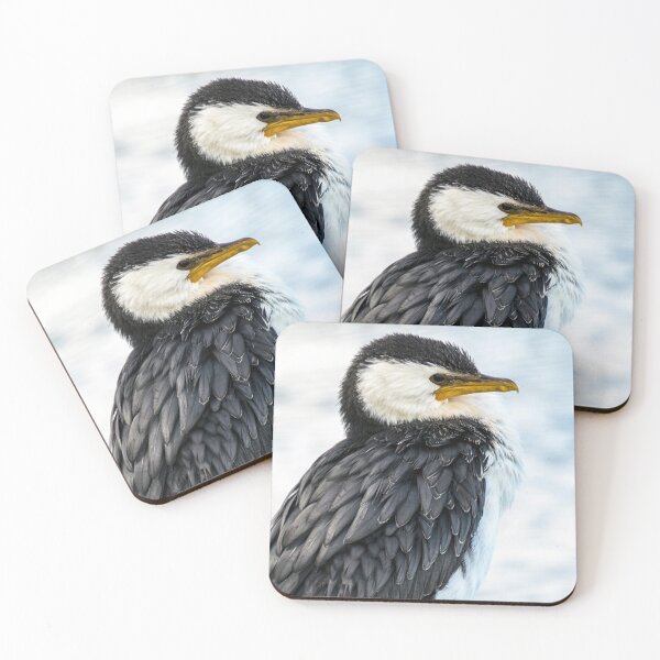 Item preview, Little pied cormorant 2a designed and sold by Rainphotography.