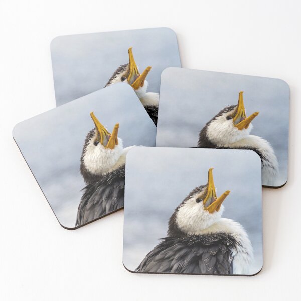 Item preview, Little pied cormorant  designed and sold by Rainphotography.