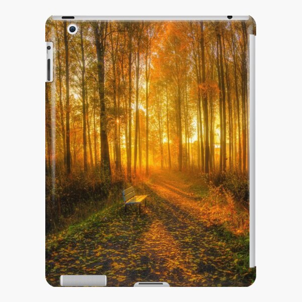 In The Morning Light 4 iPad Snap Case