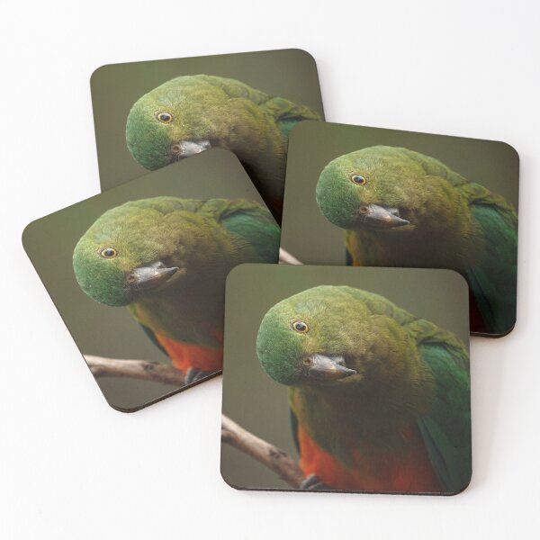 Item preview, Curious King Parrot designed and sold by theleastone.