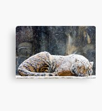 Warm Coat Metal Print