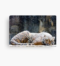 Warm Coat Canvas Print