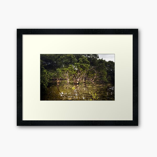 Item preview, Mangrove Flats in Autumn  designed and sold by Rainphotography.
