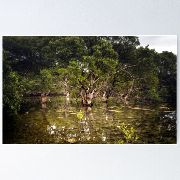 Item preview, Mangrove Flats in Autumn  designed and sold by Rainphotography.