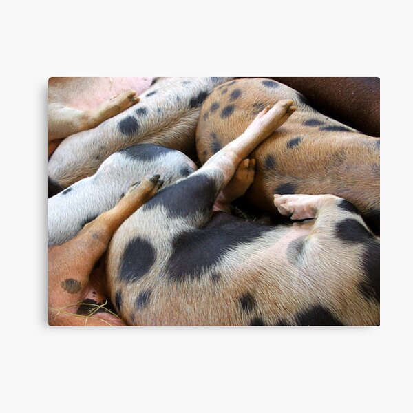 Lots Of Spots Canvas Print