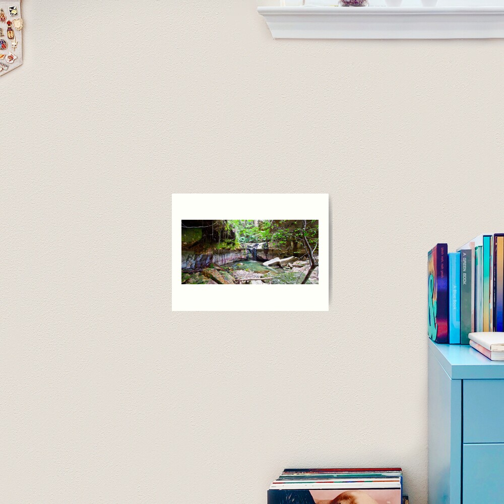 The Moss Gardens Art Print