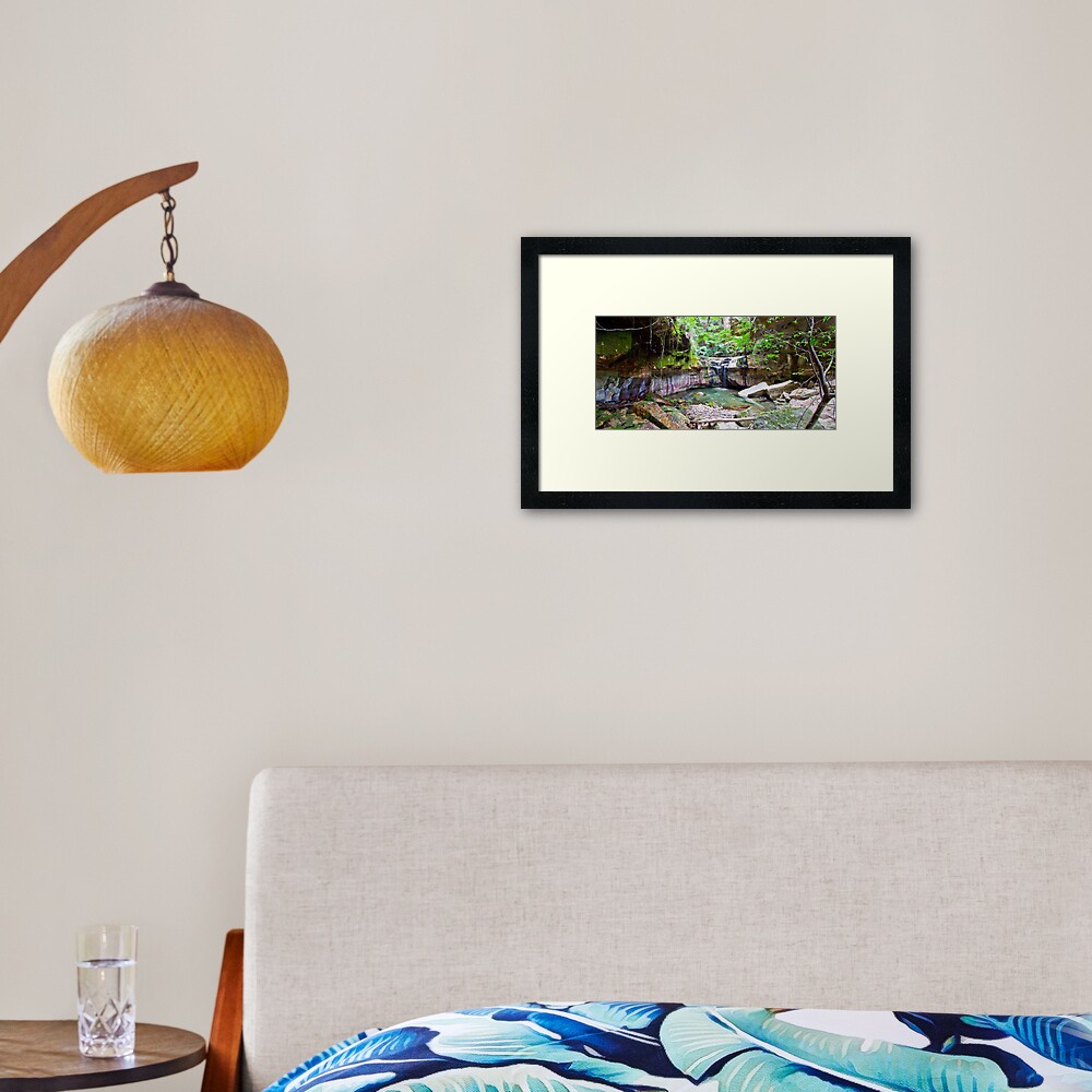 The Moss Gardens Framed Art Print