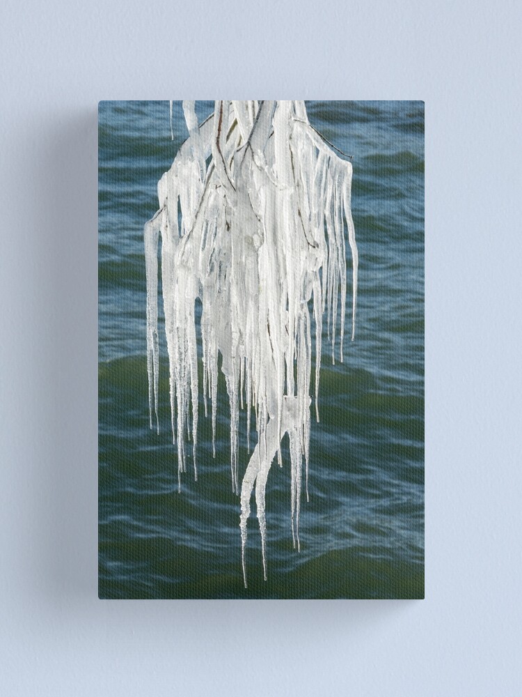  Canvas Wall Art Prints Picture Ice crystal texture