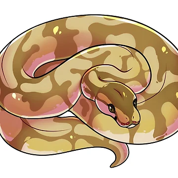Artwork thumbnail, Hypo Butter Bee Ball Python by cargorabbit