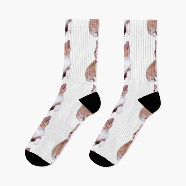 Item preview, Kitten! Sale!!! designed and sold by Vitalia.