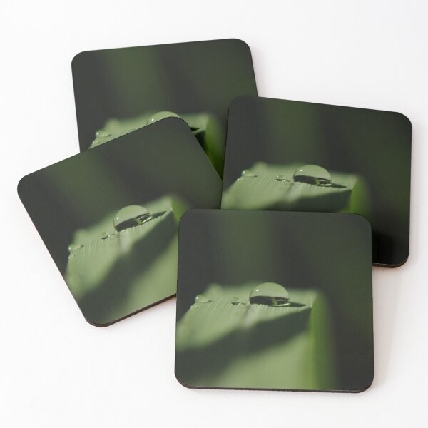 Item preview, light and shadow designed and sold by Clare Colins.
