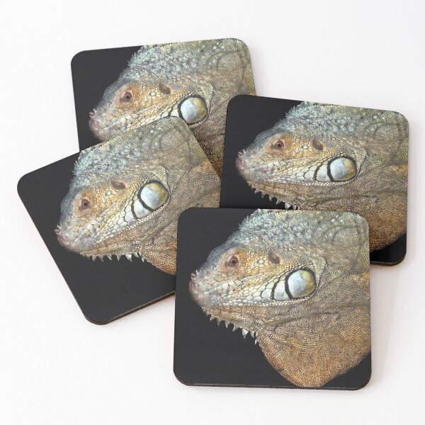 Item preview,  exotic reptile designed and sold by Art By M.