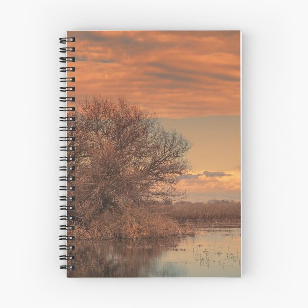 Item preview, Marsh Sunset designed and sold by Floyd Hopper.