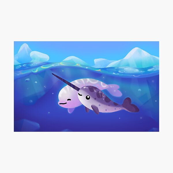 Beluga and Narwhal Photographic Print