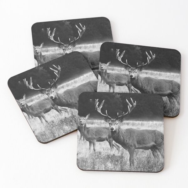 Item preview, Deer in Richmond Park Black & White  designed and sold by RRuffPhotography.