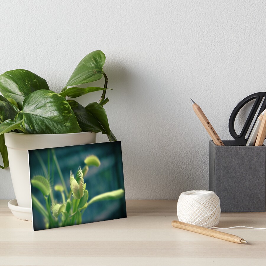 Item preview, Art Board Print designed and sold by madbean.