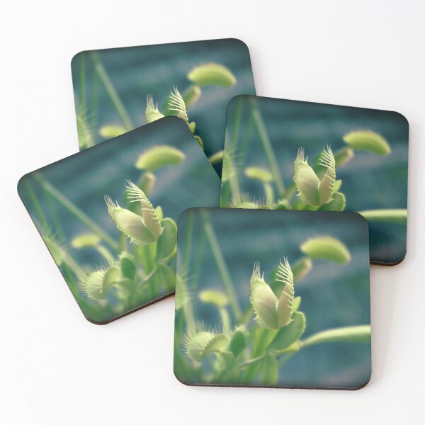 Item preview, Venus flytrap designed and sold by Maria Tzamtzi.
