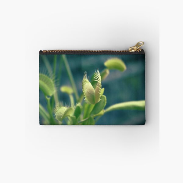 Item preview, Venus flytrap designed and sold by Maria Tzamtzi.