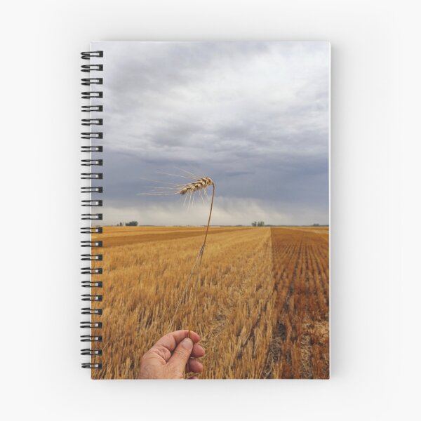 Item preview, harvest designed and sold by jmpznz.