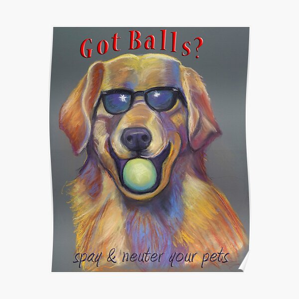 Golden Retriever - Spay/Neuter Poster