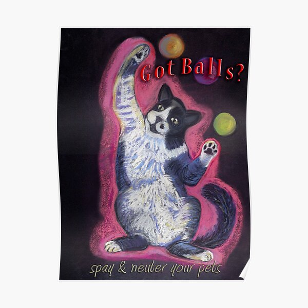 Juggling Cat - Spay/Neuter Poster