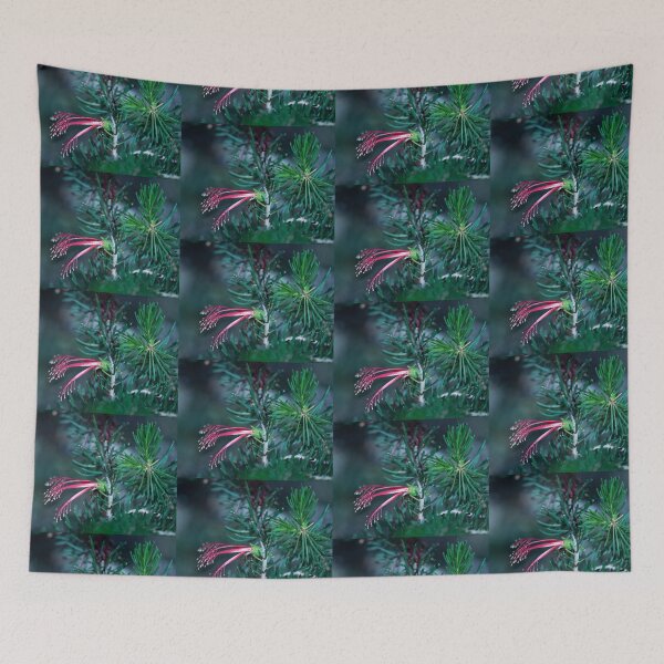 Item preview, Claw-flower - Calothamus quadrifidus designed and sold by imaginethis.