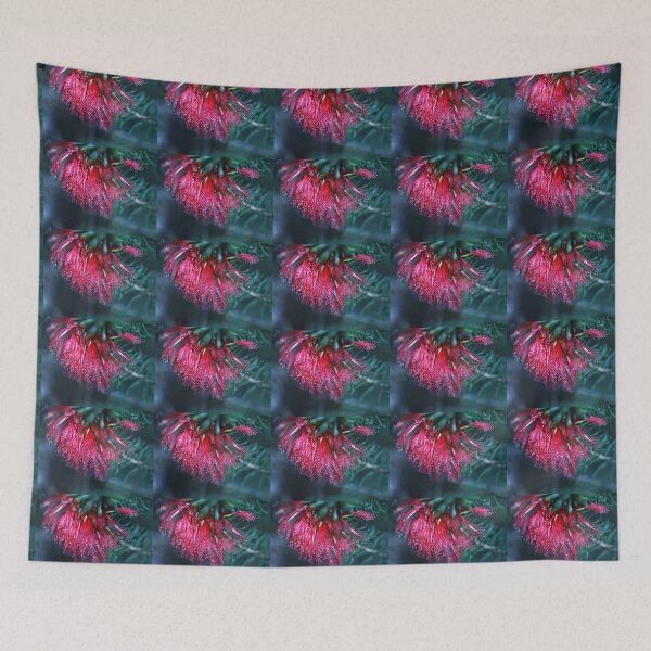 Item preview, Festive Colours - Australian Native Claw-flower designed and sold by imaginethis.