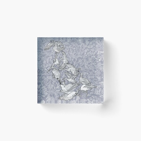 Item preview, Anseriformes - Ducks - Birds - Evolution - Blue Background designed and sold by EvolutionPoster.