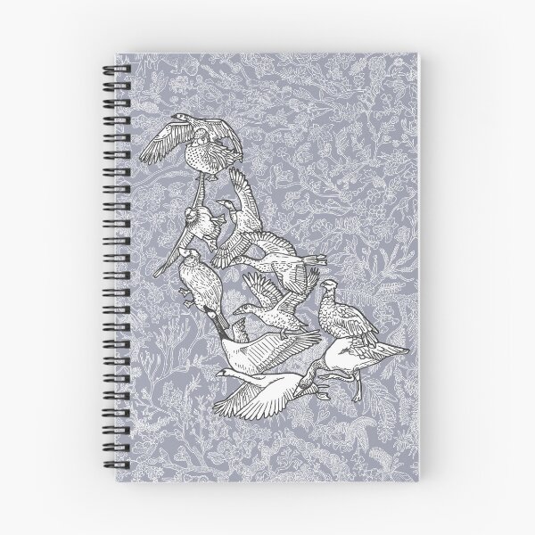 Item preview, Anseriformes - Ducks - Birds - Evolution - Blue Background designed and sold by EvolutionPoster.