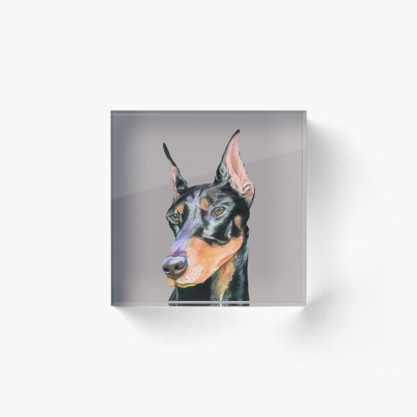 The Portrait of Doberman Pinscher (handpainted) Acrylic Block