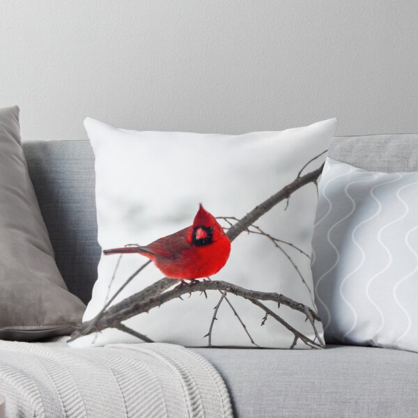 Item preview, Cardinal On A Branch  designed and sold by mcstory.