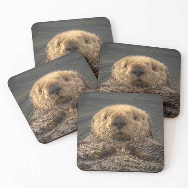 Item preview, Sea Otter Love! designed and sold by oliviasphotos.