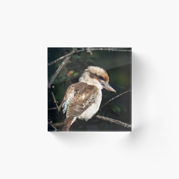 Item preview, Laughing Kookaburra. designed and sold by theleastone.