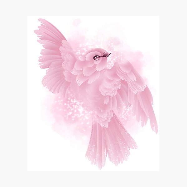 Item preview, Magic bird prints/cards only designed and sold by Idaeltvik.