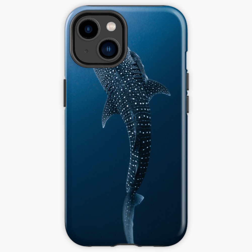 Whale Shark Portrait