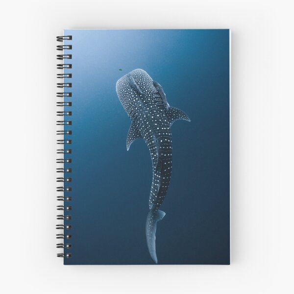 Item preview, Whale Shark Portrait designed and sold by Ollieunderwater.
