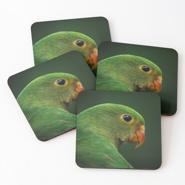 Item preview, Australian King Parrot, juvenile designed and sold by theleastone.