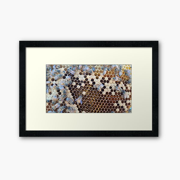 Home of the bees Framed Art Print