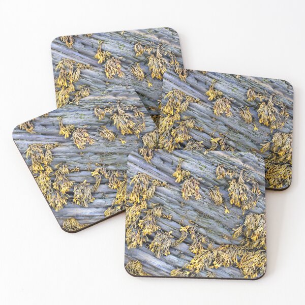 Item preview, Weedy Rocks designed and sold by Yampimon.